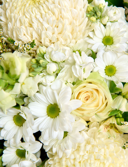 Classic Blooms Subscription