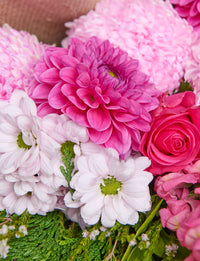 Medium Colour + a vase!