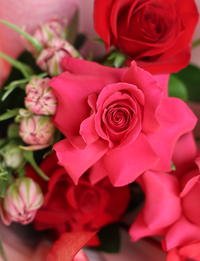 The Napier Bouquet