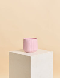 Peace Lily + a Pink Pot