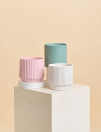 Peace Lily + a Green Pot