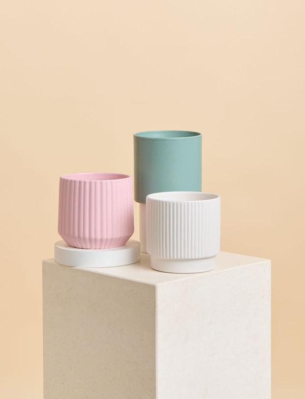 Peace Lily + a Green Pot