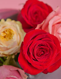 Half A Dozen Mixed Roses