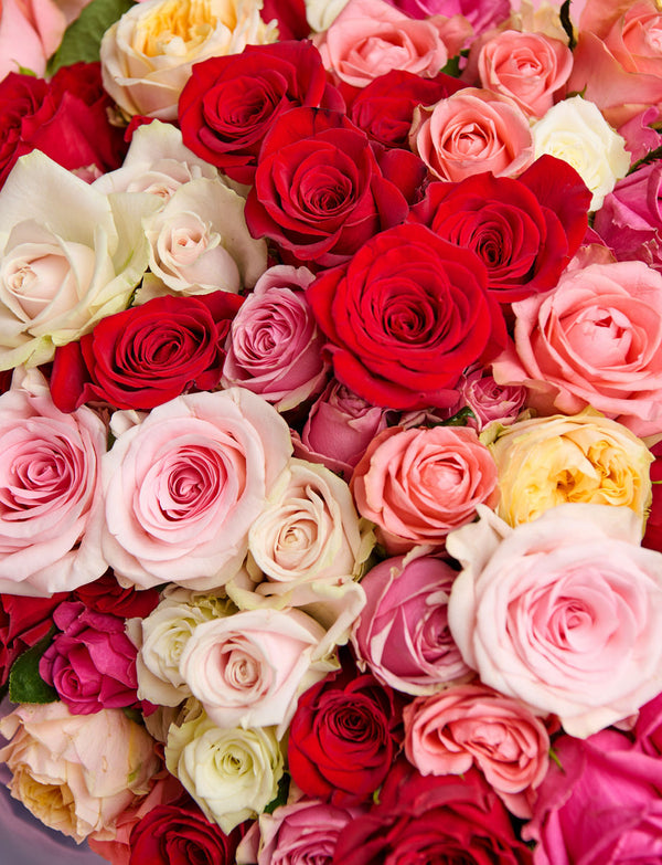 Half A Dozen Mixed Roses