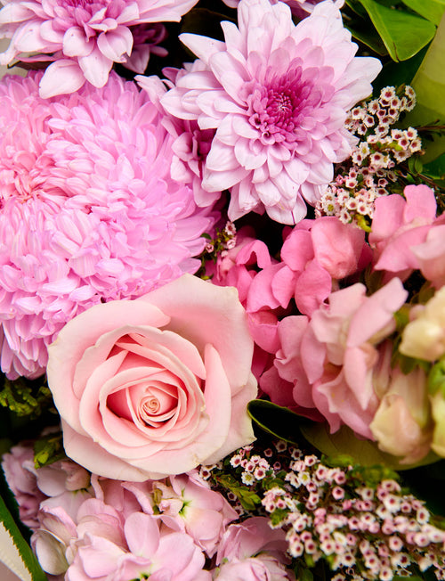 Signature Blooms Subscription