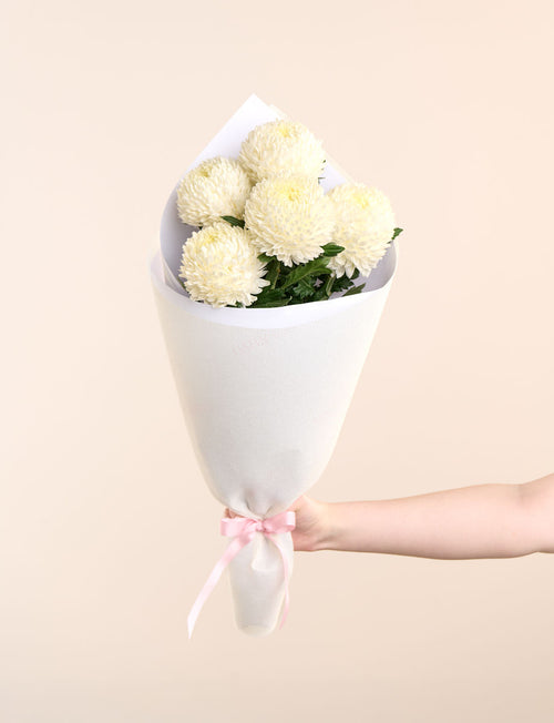 Lullaby Baby Bundle