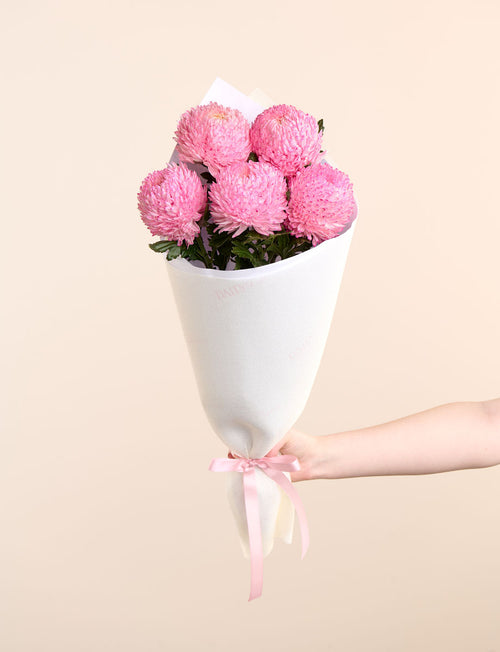Lucky Dip Chrysanthemum Disbuds