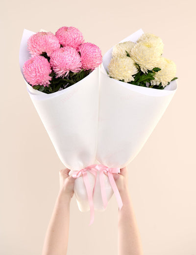 Lucky Dip Chrysanthemum Disbuds