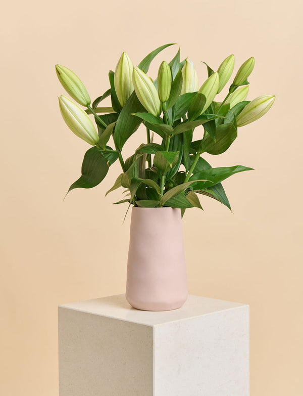 Oriental Lilies