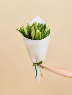 Oriental Lilies