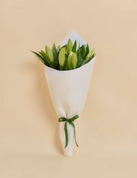 Oriental Lilies