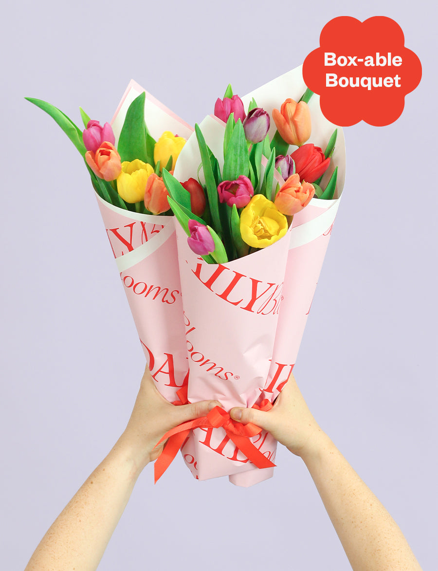 Bloom Box - Daily Blooms | Same Day Flower Delivery