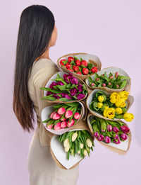 Tulips Lucky Dip!