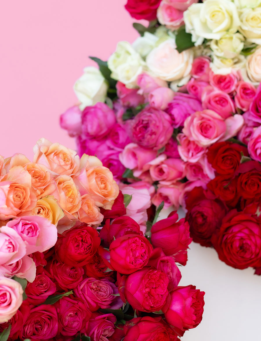 Half Dozen Mixed Roses | Daily Blooms - Same Day Flower Delivery