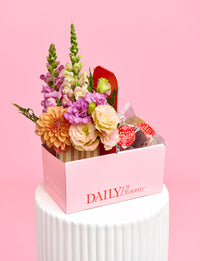 Venus Delight Bundle