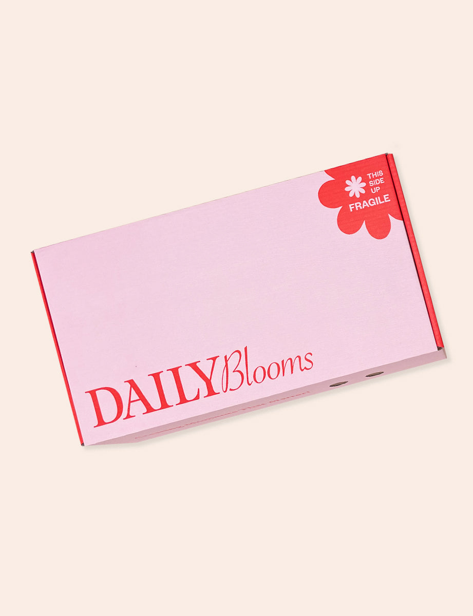 Bloom Box