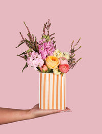 Venus Delight Bundle