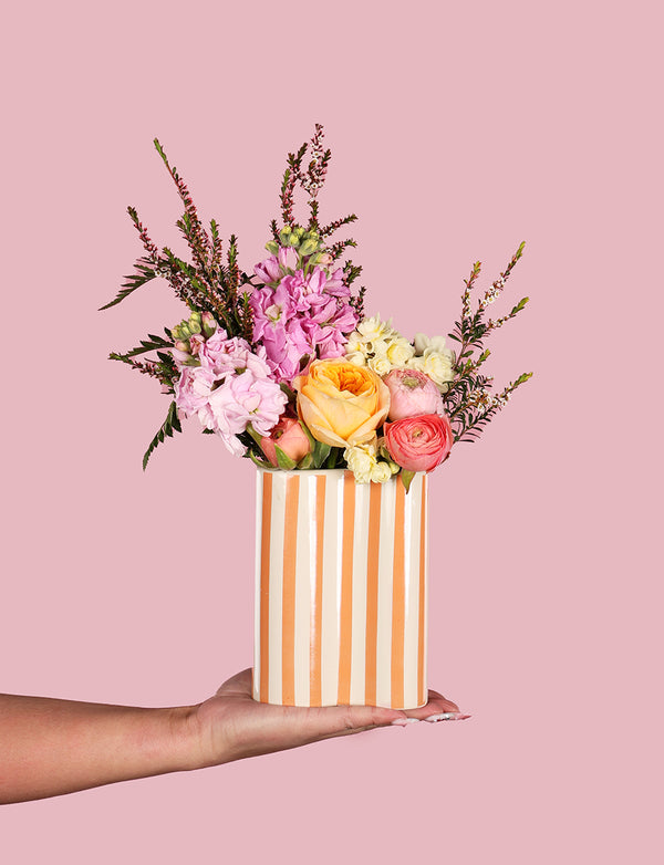 Venus Delight Bundle
