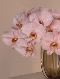 The Block - Main Ensuite Week Bouquet