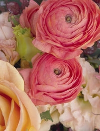 The Block - Family Bathroom Week Bouquet