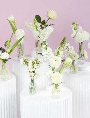 Bud Vase Package