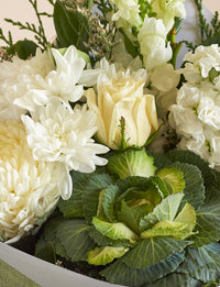 Medium White + a vase!