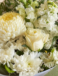 Small White + a vase!